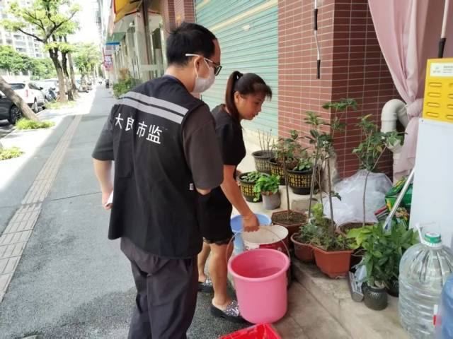 顺德本周末开展灭蚊行动 防控登革热关键一步